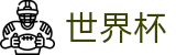 世界杯官网 - 从揭幕战到卢赛尔之后的新圣地，荣耀全景复刻